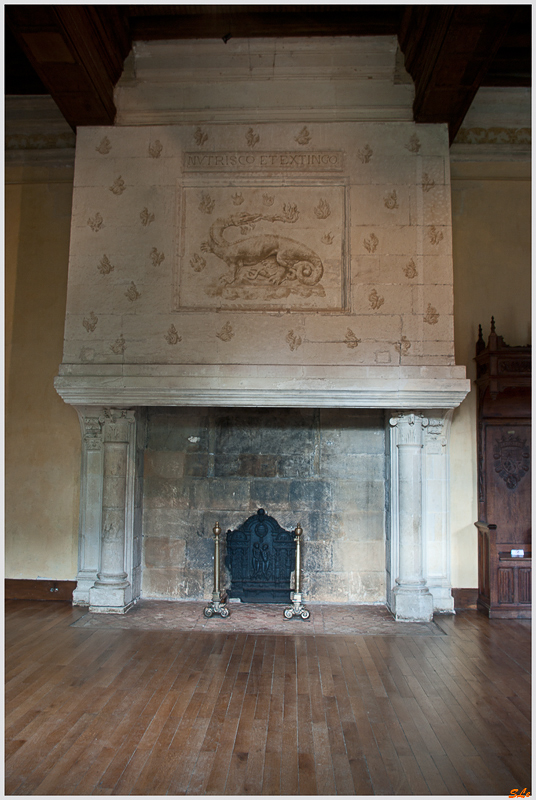 Château de Azay-Le-Rideau ( 800_IGP6044 )
