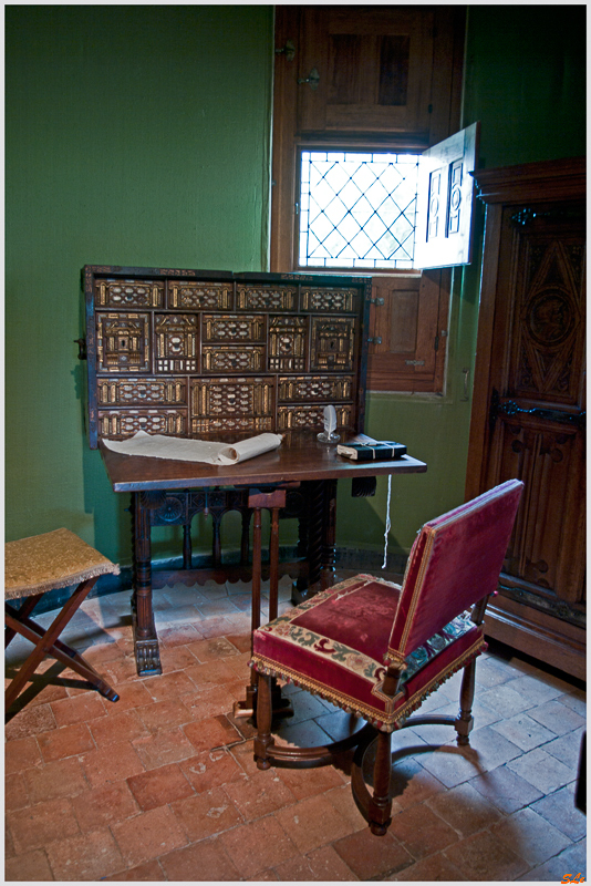 Château de Azay-Le-Rideau ( 800_IGP6048 )