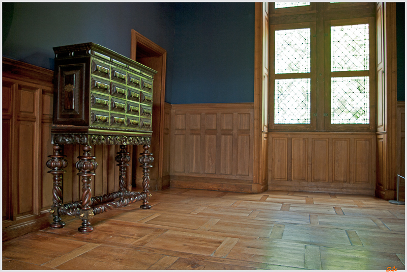 Château de Azay-Le-Rideau ( 800_IGP6052 )