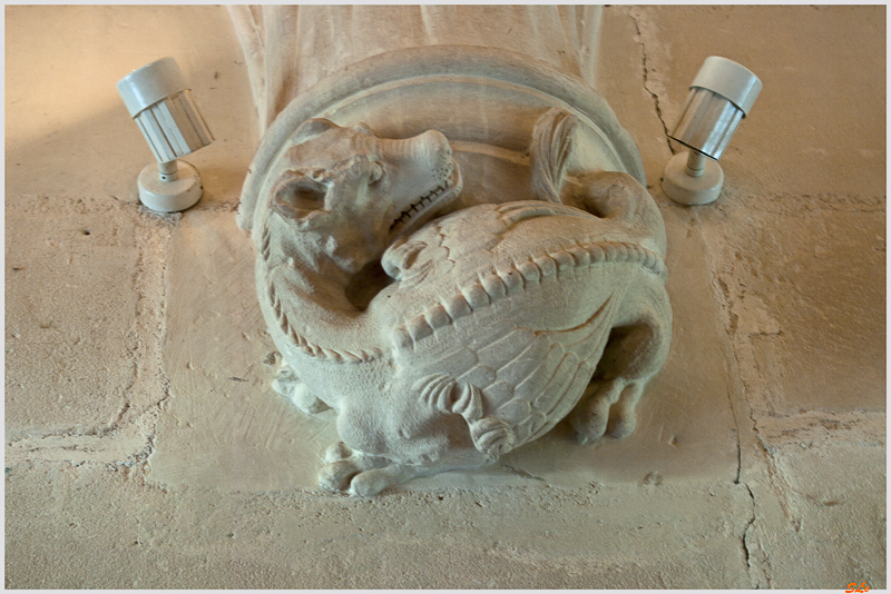 Château de Azay-Le-Rideau ( 800_IGP6060 )