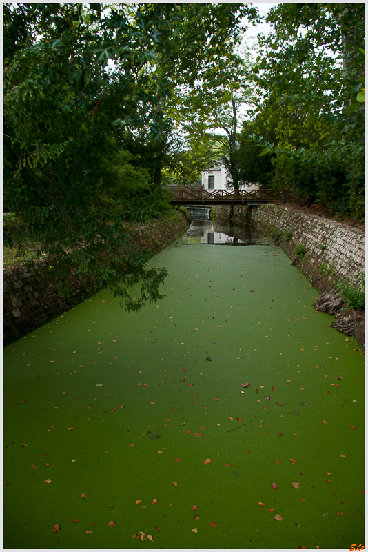 Château de Azay-Le-Rideau ( 800_IGP6101 )
