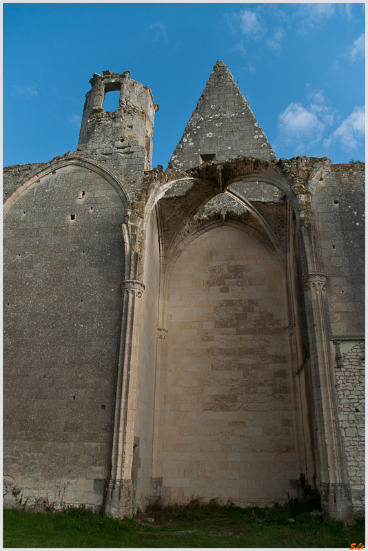 La collégiale ( 800_IGP6160 )