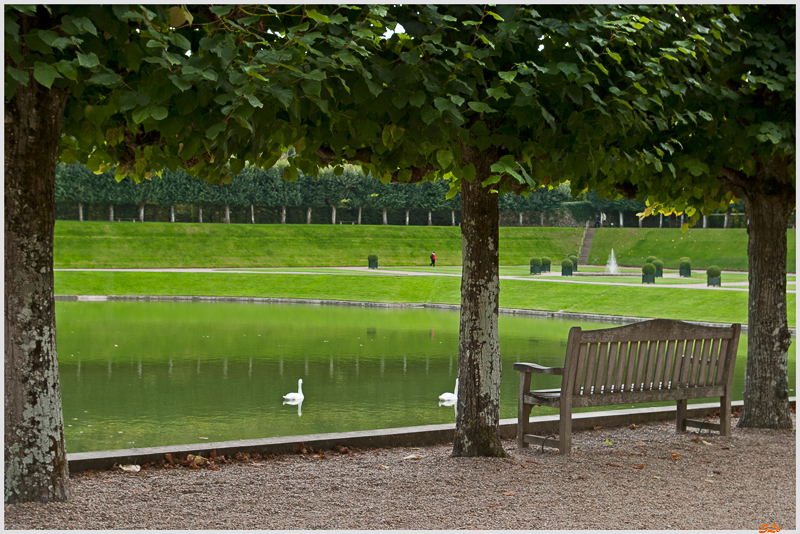 Jardin de Villandry - Jardin de l'eau ( 800_IGP6187 )