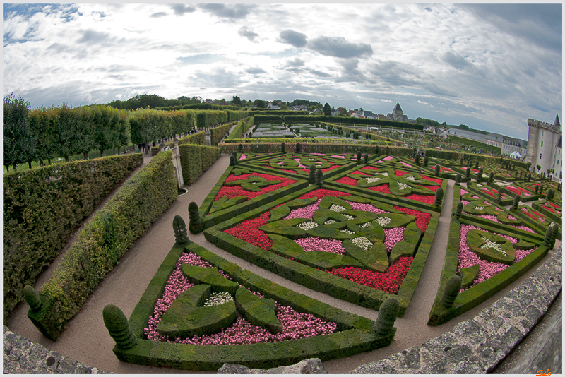 Jardin de Villandry - Jardin d'Ornement ( 800_IGP6188 )