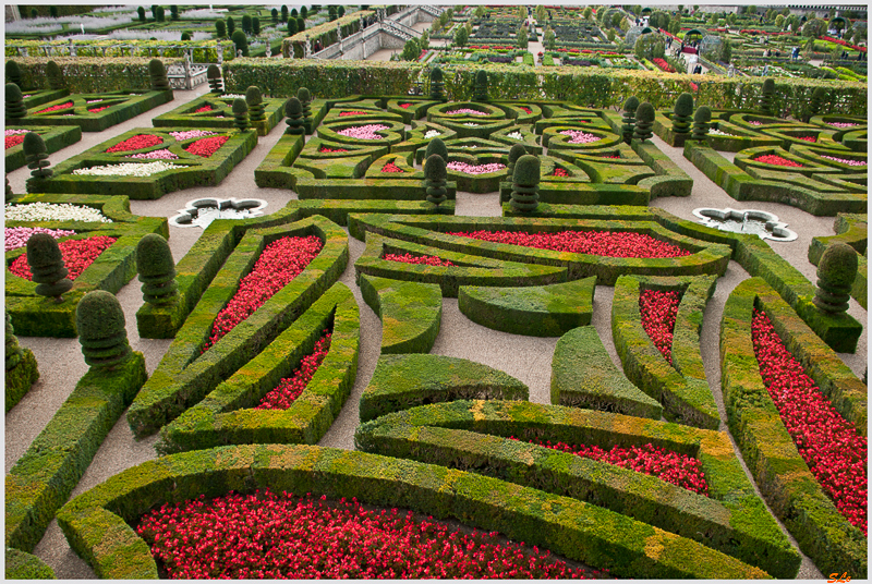Jardin de Villandry - Jardin d'Ornement ( 800_IGP6193 )