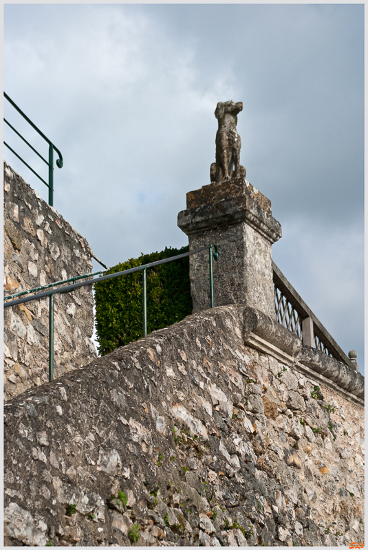 Jardin de Villandry ( 800_IGP6203 )