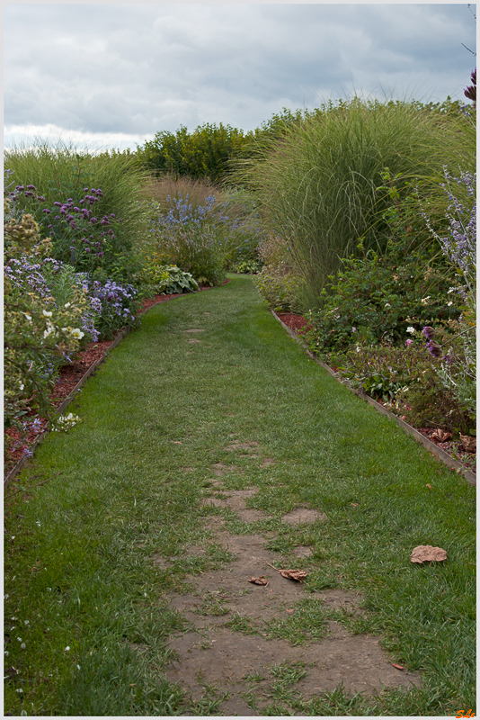 Jardin de Villandry - Jardin du Soleil ( 800_IGP6209 )
