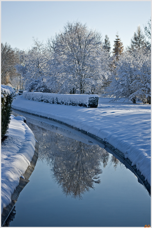 Sous la neige ( 800_IMGP7103 )