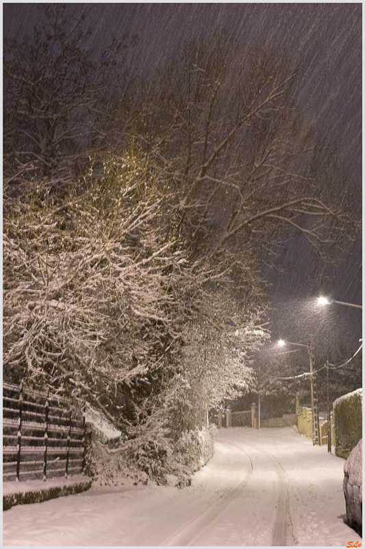 Sur le chemin du Car ( 800_IMGP7164 )