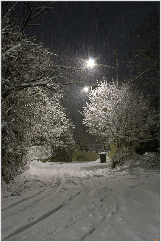 Sur le chemin du Car ( 800_IMGP7166 )