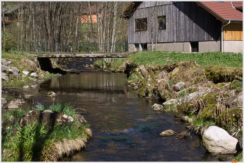 Rochesson ( 800_IMGP9155 )