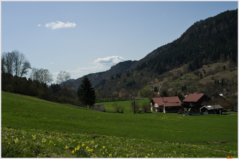 Rochesson ( 800_IMGP9175 )