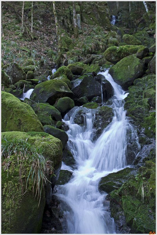 Cascade de Battion - Rochesson ( 800_IMGP9237 )