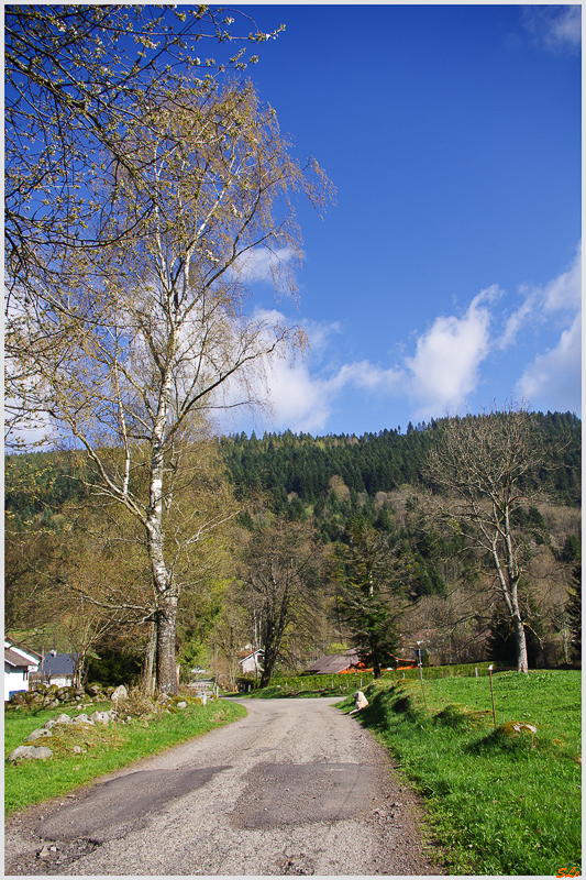 Rochesson ( 800_IMGP9257 )