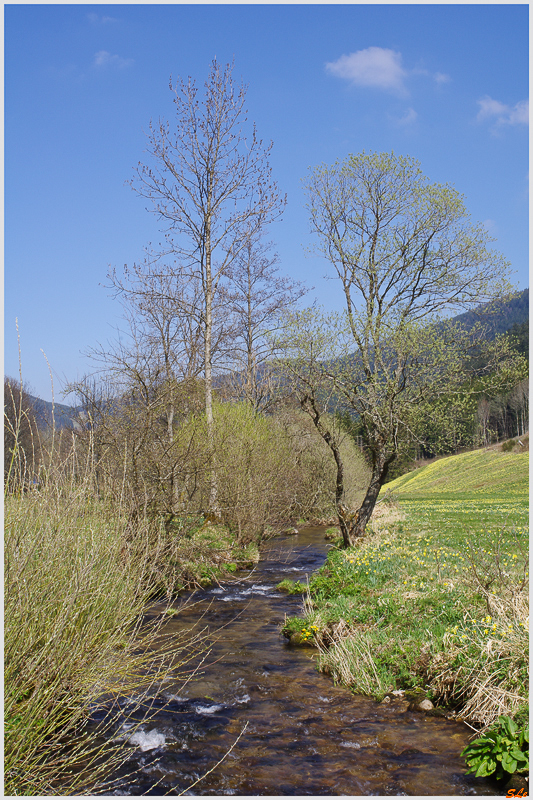Le valtin ( 800_IMGP9263 )