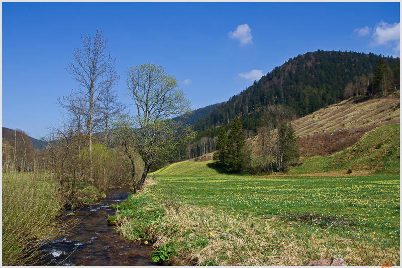 Le valtin ( 800_IMGP9273 )