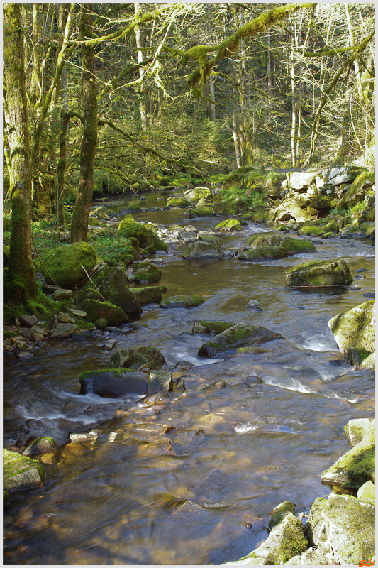 Saut du Bouchot - Rochesson ( 800_IMGP9279 )