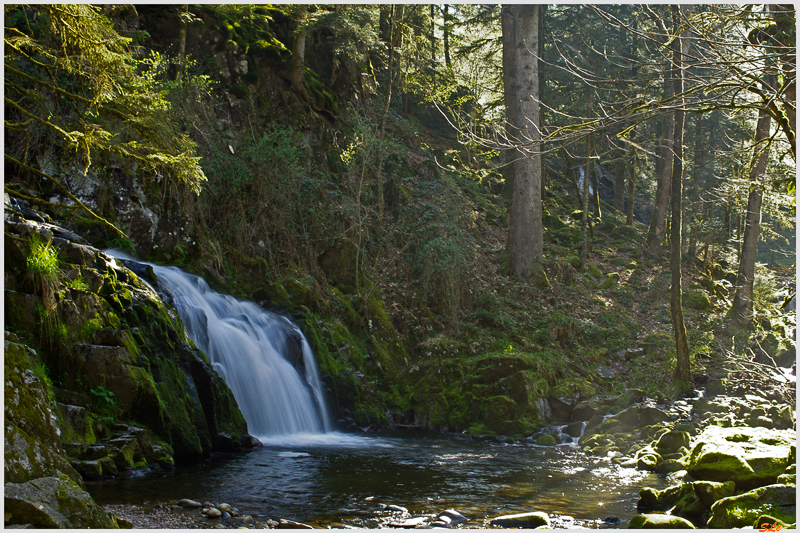 Saut du Bouchot - Rochesson ( 800_IMGP9282 )