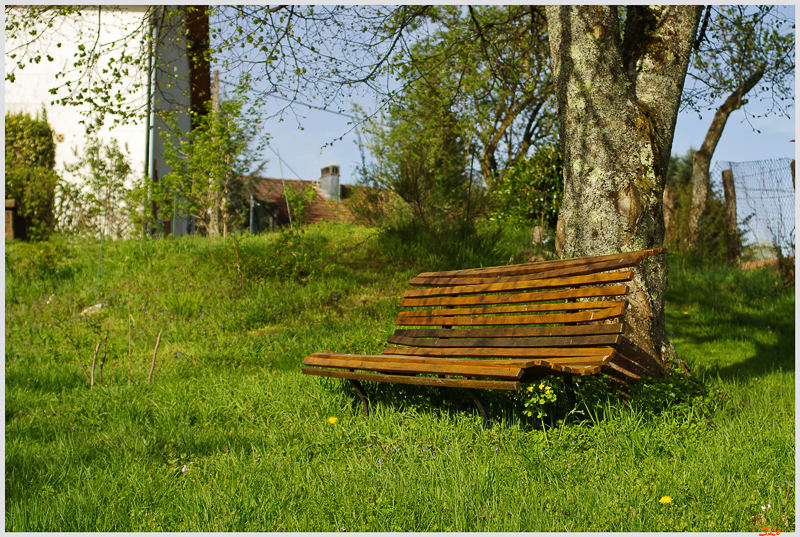 Le repos ( 800_IMGP9341 )