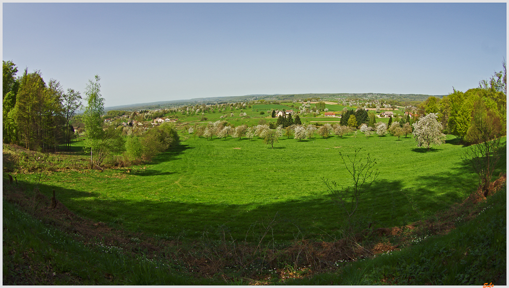 Cerisiers de Fougerolles ( 800_IMGP9349 )