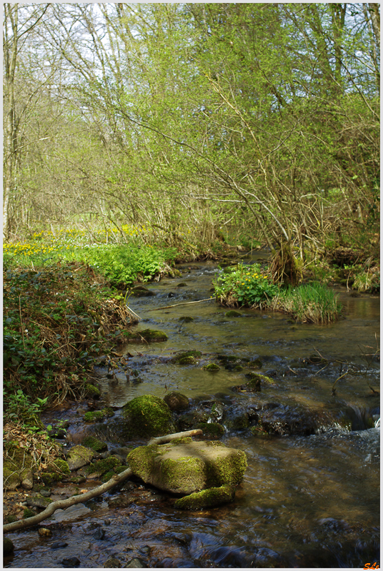 Vers Fougerolles ( 800_IMGP9368 )