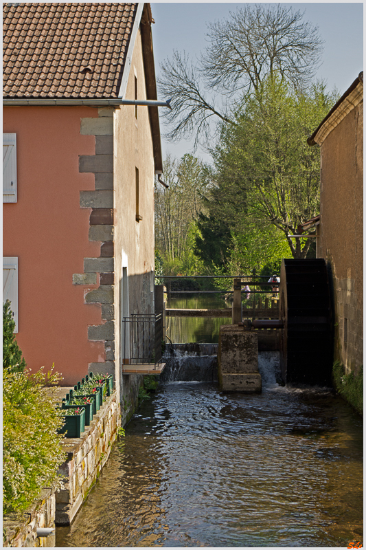 Froideterre ( 800_IMGP9467 )