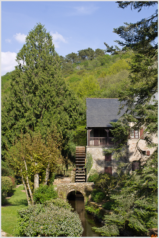 Le long du Scorff (Forêt de pont Galleck) ( IMGP9606 )