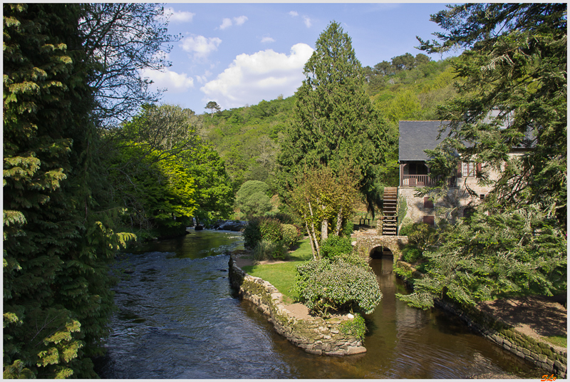 Le long du Scorff (Forêt de pont Galleck) ( IMGP9611 )