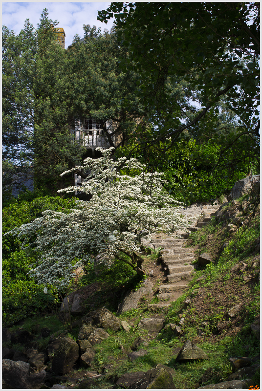 Pont-Aven ( IMGP9627 )