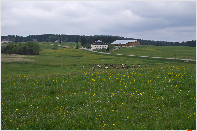  ( IMGP9859 )