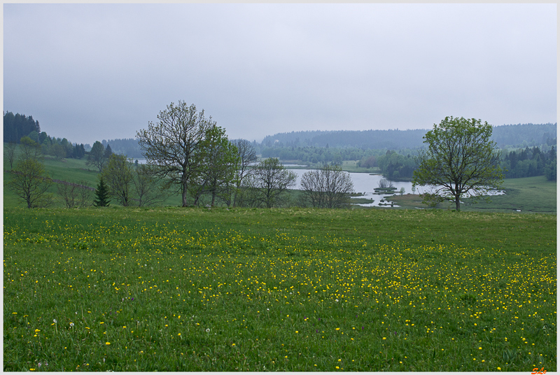 Chapelle des bois - Lac des belles dames ( IMGP9930 )