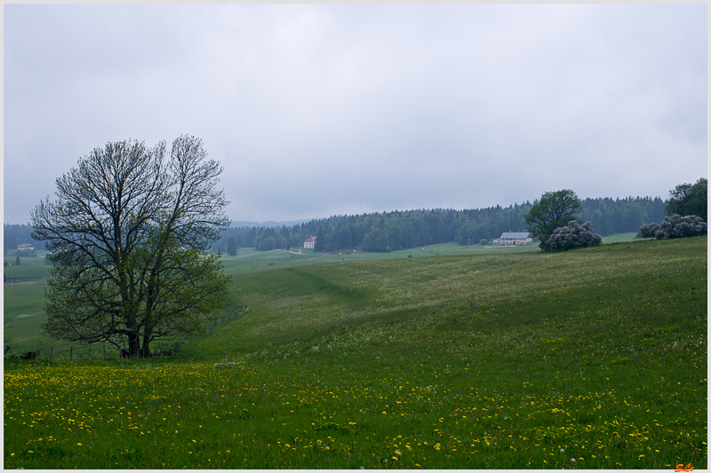 Chapelle des bois ( IMGP9931 )