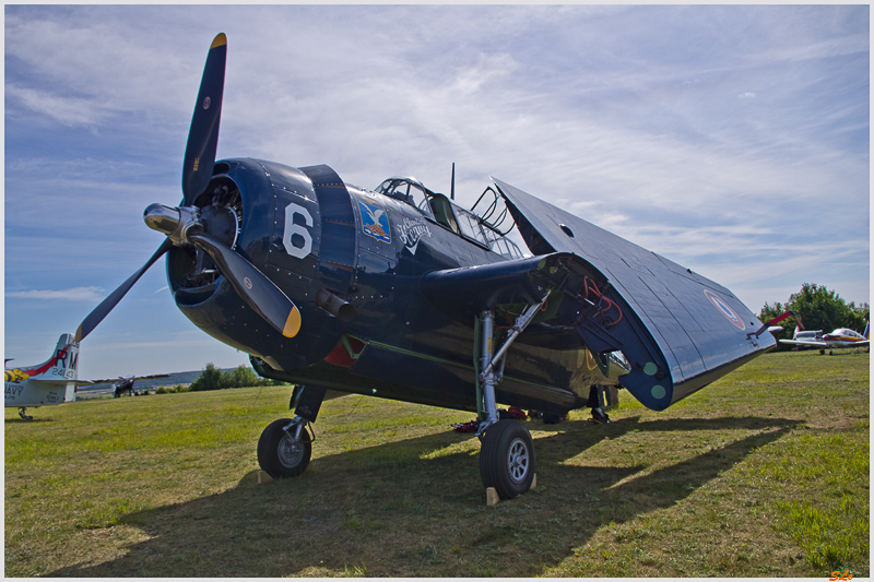 Exposition des avions - TBM Avenger ( IMGP0412 )