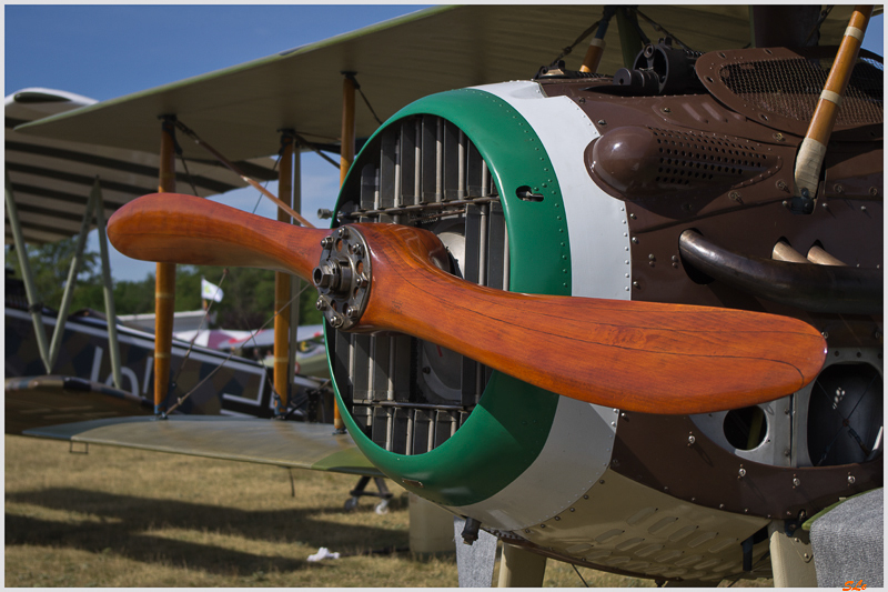 Exposition des avions - SPAD XIII ( IMGP0418 )