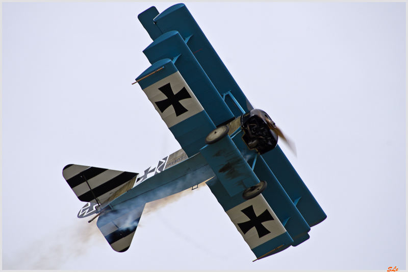 L'aube des As - Fokker Dr1 ( IMGP0550 )