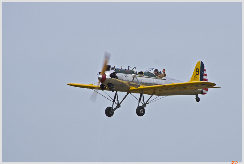 Flying cow-boy - Ryan PT-22 Recruit ( IMGP0867 )
