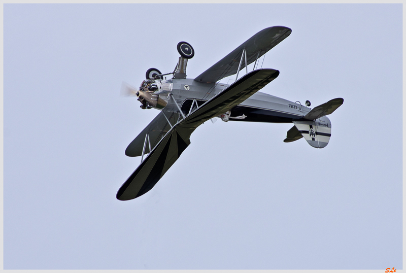 Le bal des aigles - Focke-Wulf Fw-44J Stieglitz ( IMGP0883 )