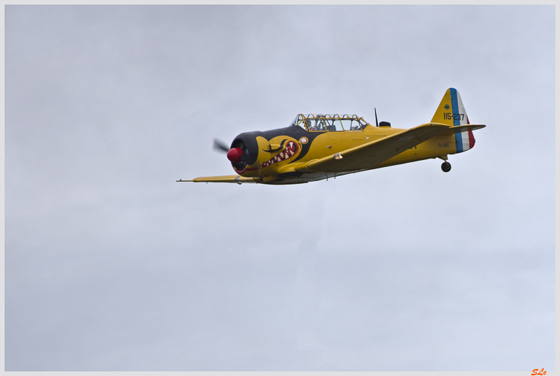 Pearl Harbor 1941 - North American T-6G ( IMGP0965 )