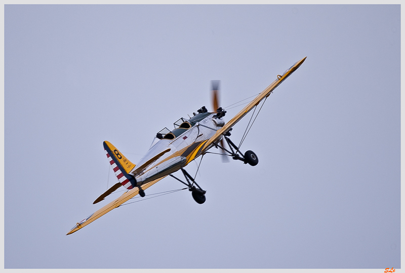 Flying cow-boy - Ryan PT-22 Recruit ( IMGP6518 )