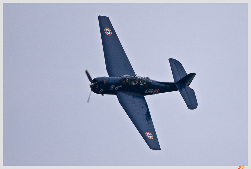 Subaro Sakai - Eastern Aircraft TBM-3R Avenger ( IMGP6551 )