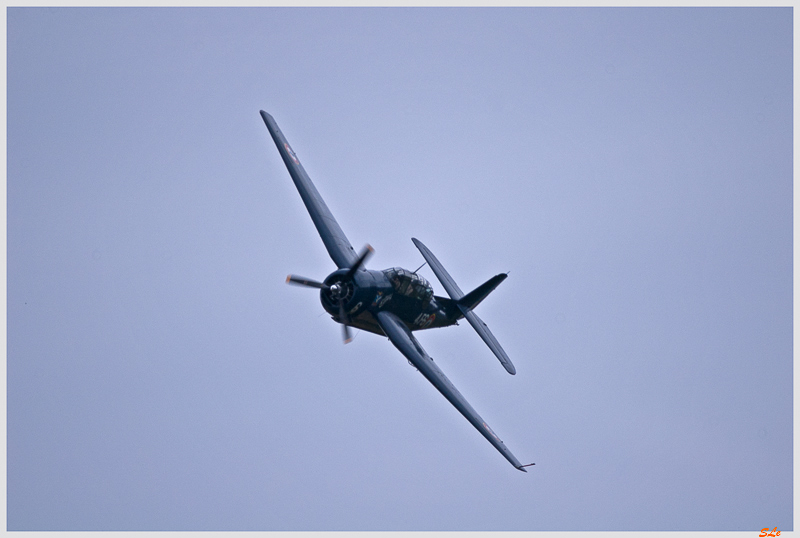 Subaro Sakai - Eastern Aircraft TBM-3R Avenger ( IMGP6552 )