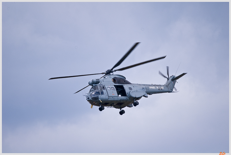 SIAE - Eurocopter SA-330B Puma ( IMGP6627 )