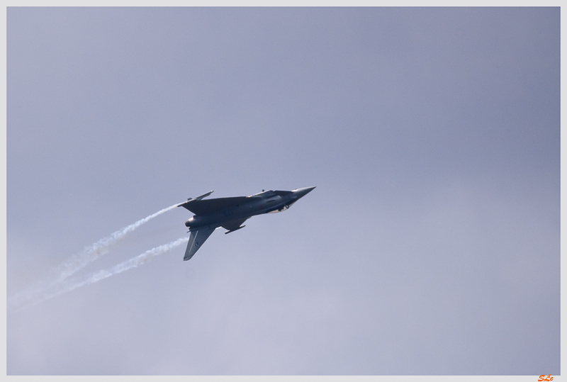 SIAE - Lockheed-Martin F-16C Fighting Falcon ( IMGP6667 )