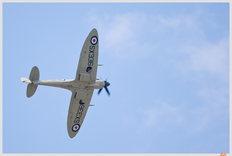 SIAE - Westland SEAFIRE ( IMGP6681 )