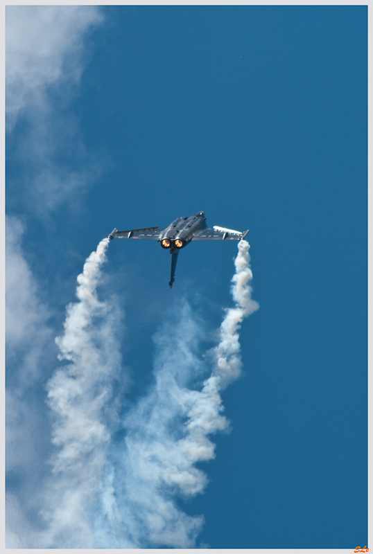 SIAE - Dassault Aviation RAFALE C - 30000 MILLE HEURES ( _IGP2265 )