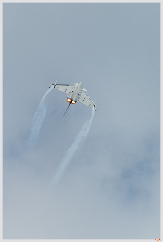 SIAE - Eurofighter - TYPHOON ( _IGP2363 )