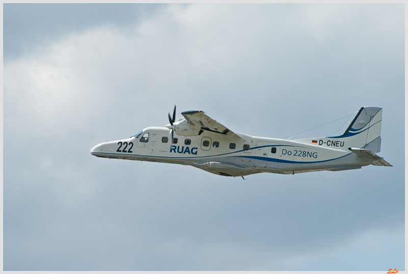 SIAE - Ruag DO228 NG ( _IGP2460 )