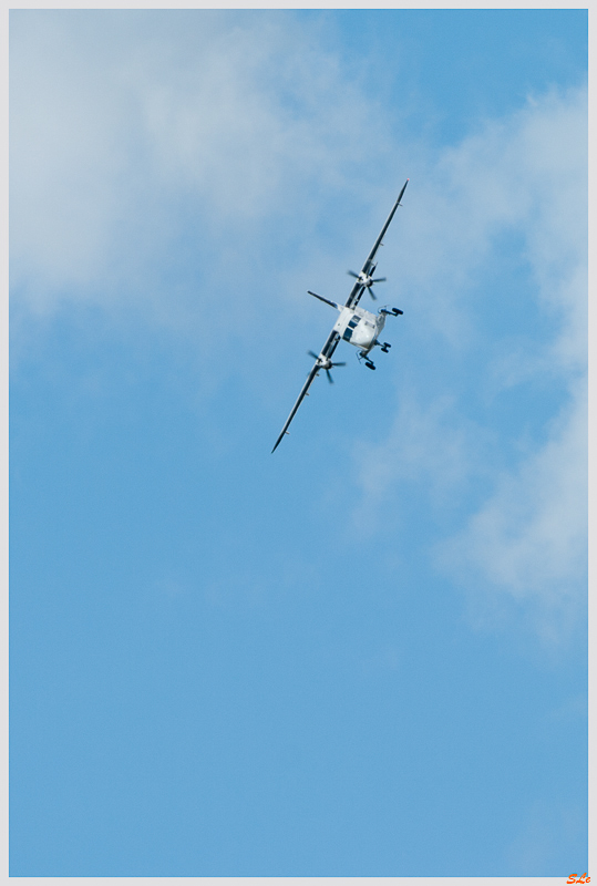 SIAE - Ruag DO228 NG ( _IGP2463 )