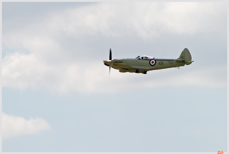 SIAE - Westland SEAFIRE ( _IGP2464 )