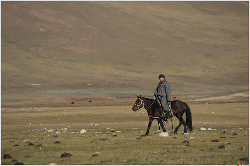 Parc de Khokh Nuur - Camp Nomade ( IMGP0919 )